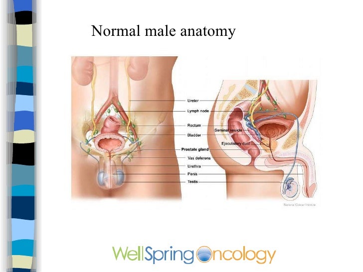 Self bondage and pictures Male anus relapses